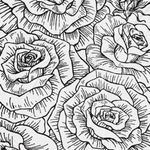 Ceremony - Artiste programmé au Hellfest 2026