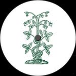 Blasha & Allatt - Artiste programmé au Tomorrowland 2026