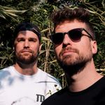 Team DAMP - Artiste programmé au Tomorrowland 2026