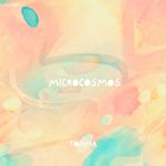 tohma - Artiste programmé au Tomorrowland 2026