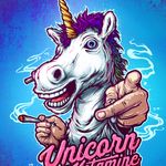 Unicorn On Ketamine - Artiste programmé au Insane Festival 2026