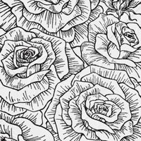 Ceremony - Artiste programmé au Hellfest 2026