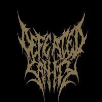 Defeated Sanity - Artiste programmé au Hellfest 2026