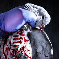 Napalm Death - Artiste programmé au Hellfest 2026