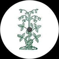 Blasha & Allatt - Artiste programmé au Tomorrowland 2026