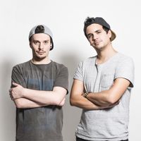 Feuilles de Roots - Artiste programmé au ERVA Festival 2026