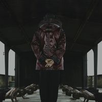 KILIMANJARO - Artiste programmé au Cercle Festival 2026