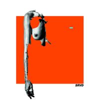 Patrick Mason - Artiste programmé au Marvellous Island 2026