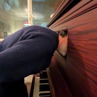 Patrick Watson - Artiste programmé au Les Vieilles Charrues 2026