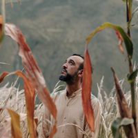 Rodrigo Gallardo - Artiste programmé au Cercle Festival 2026