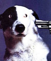 Shoplifter - Artiste programmé au Paradise City 2026