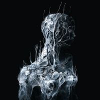 Soen - Artiste programmé au Motocultor 2026