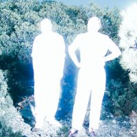 Soulwax - Artiste programmé au We Love Green 2026