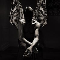 Suede - Artiste programmé au Ronquières Festival 2026