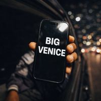 The Venice - Artiste programmé au Papillons de Nuit 2026