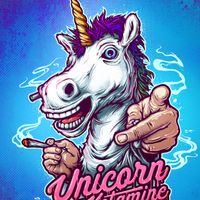 Unicorn On Ketamine - Artiste programmé au Insane Festival 2026