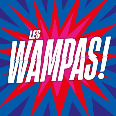 Photo de Les Wampas