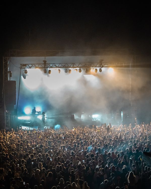 Festivals Reggae Dub 2026 : les 5 rendez-vous incontournables de l'été