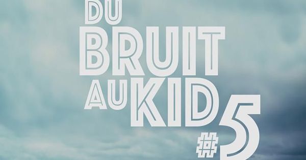 Annulation du festival Du Bruit au Kid à La Flèche suite à des désistements d'artistes